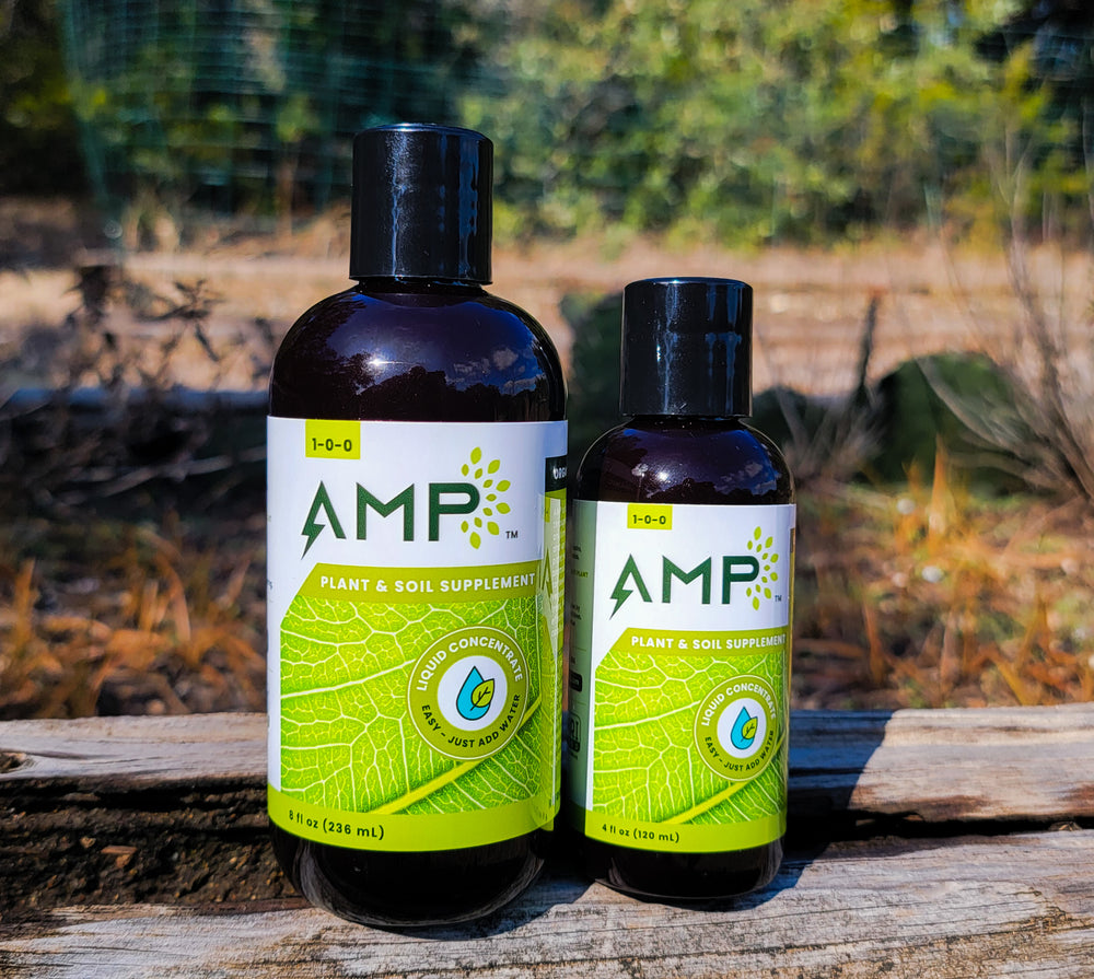 AMP Organic Biostimulant 8oz Bottle - harness the power of Algae.