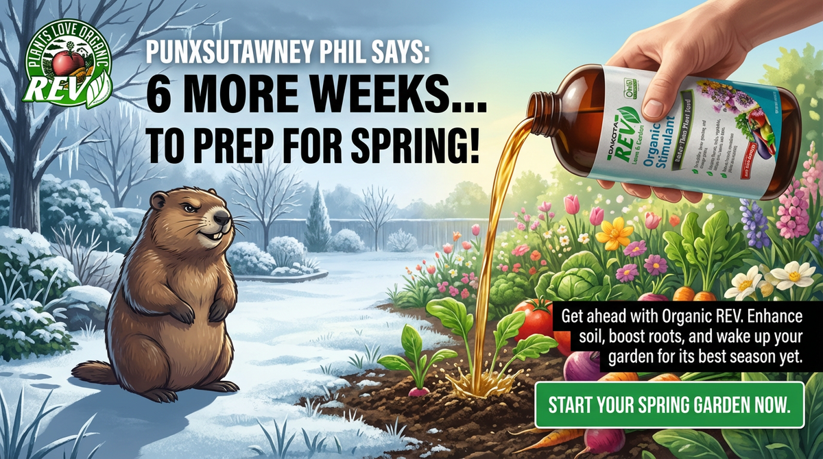 Groundhog Day Gave Gardeners a Gift – OrganicRev