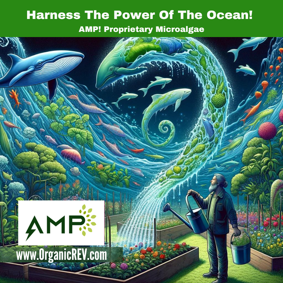 Unlocking the Power of AMP Microalgae: Nature’s Turbo Boost for Plants ...