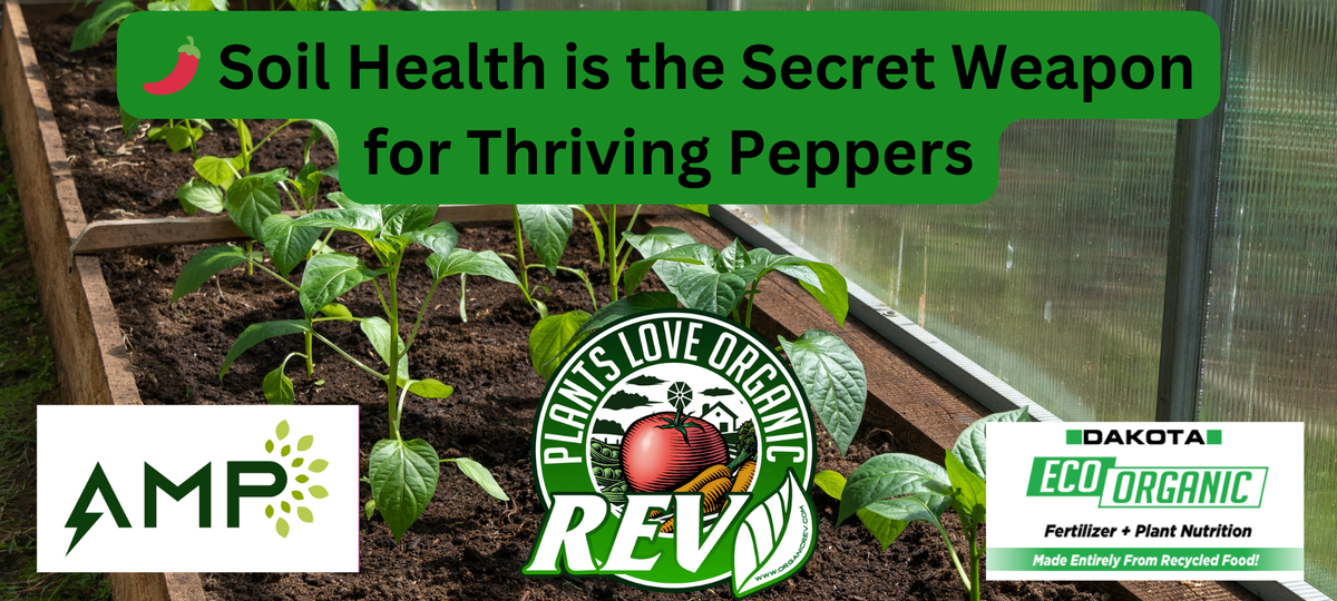 🌿 Why Soil Health is the Secret Weapon for Thriving Peppers – OrganicRev