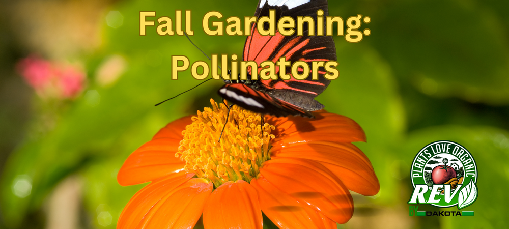 Fall Pollinators Gardening for Pollinators: What to Plant This Fall – OrganicRev