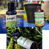 Grow The REV Way!