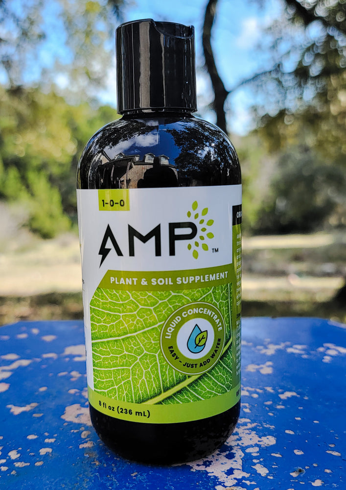AMP Organic Biostimulant 8oz Bottle