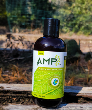 
                
                    Load image into Gallery viewer, AMP Organic Biostimulant 8oz Bottle - harness the power of Algae. NEW!
                
            