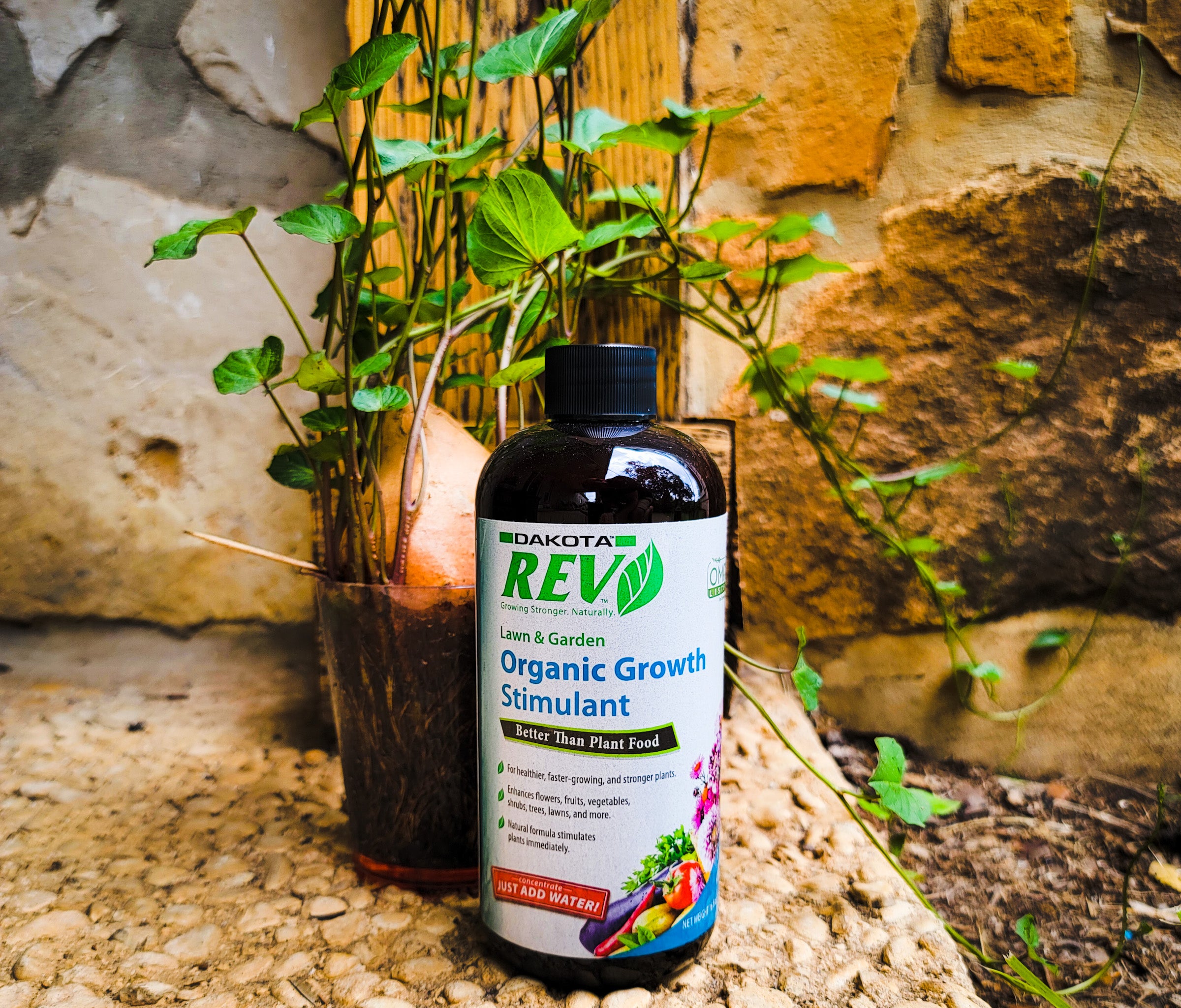 Organic REV 16oz – Plant Growth Enhancer