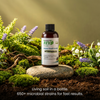 Free 4oz Organic REV Sample – Use code: TRYREV
