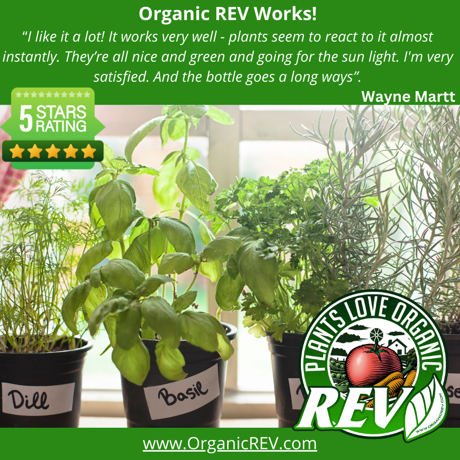 Free 4oz Organic REV Sample – Powerful Plant Growth Stimulant