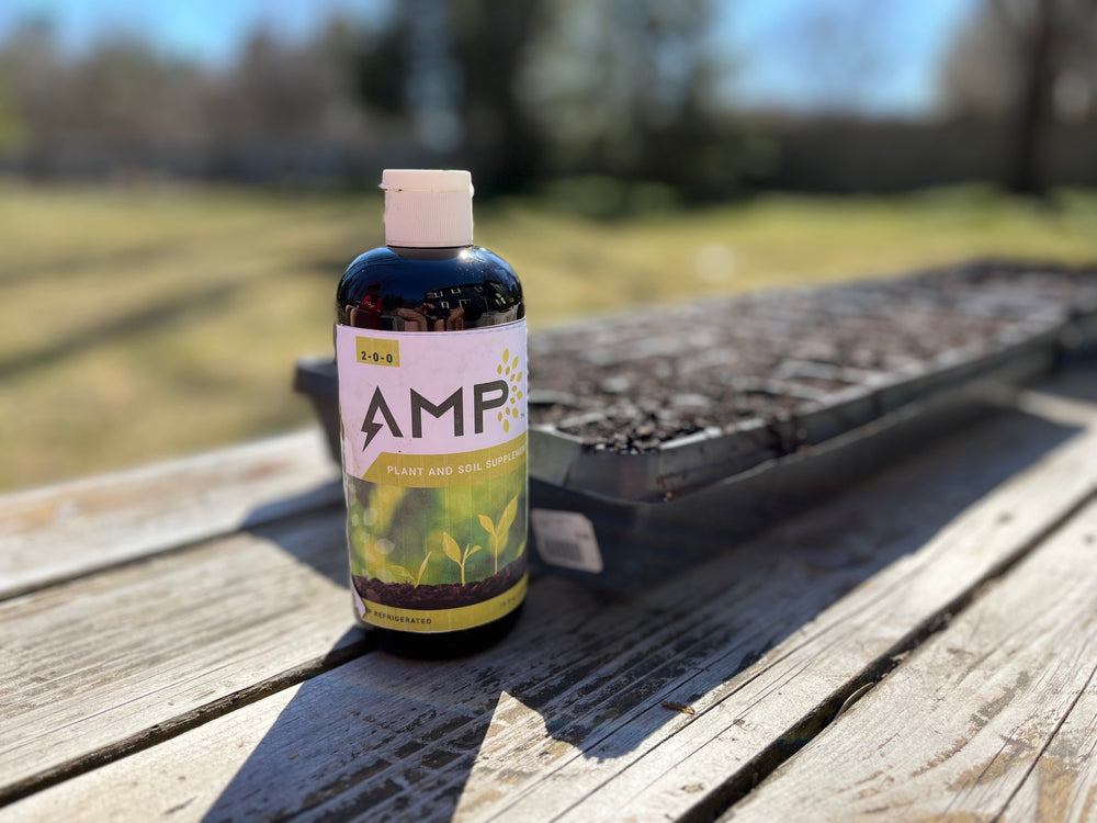 AMP Organic Biostimulant - harness the power of Algae. 1oz Trial Bottle