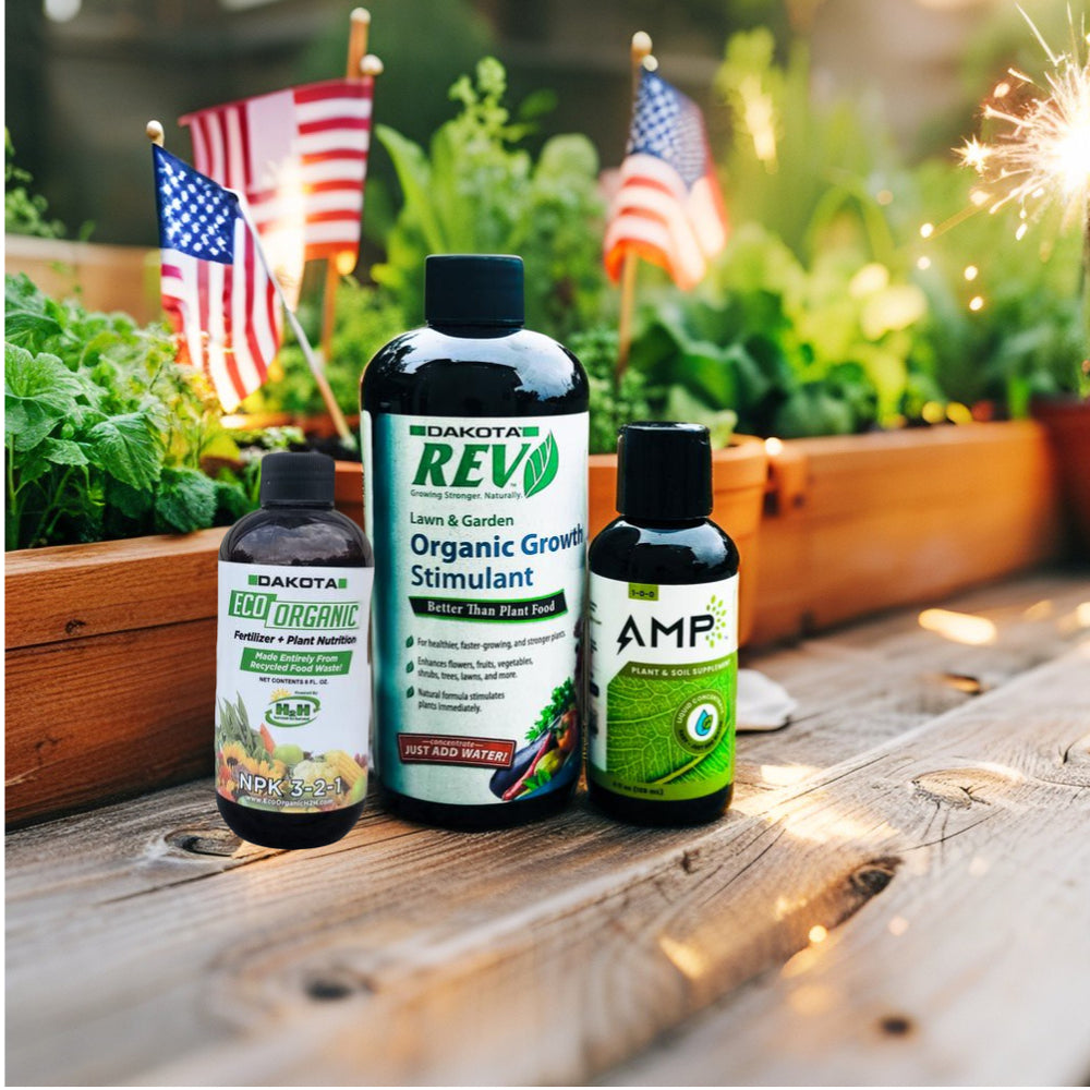 4th of July REV-olution