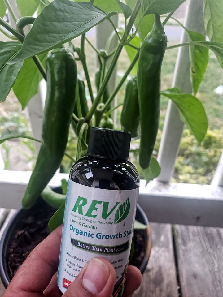 Free 4oz Organic REV Sample – Powerful Plant Growth Stimulant